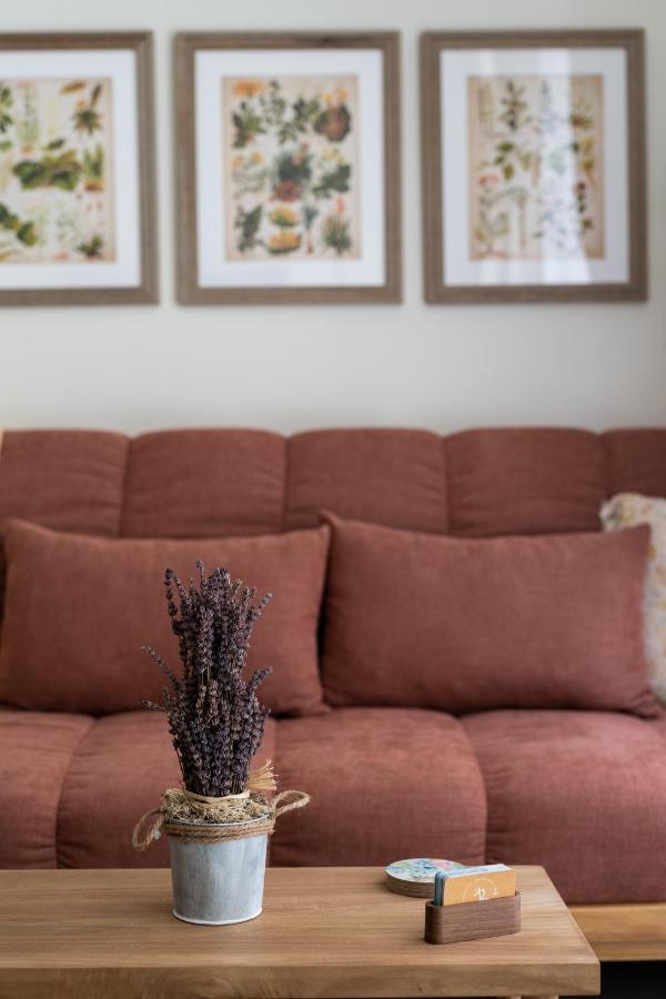 Le Provencal De Coup De Coeur Appartements Valencia Bagian luar foto
